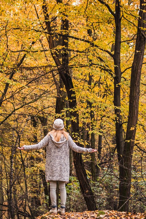 foresta con raggazza felice 463234228